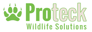 https://proteckwildlifesolutions.s3.amazonaws.com/img/proteck-logo.png
